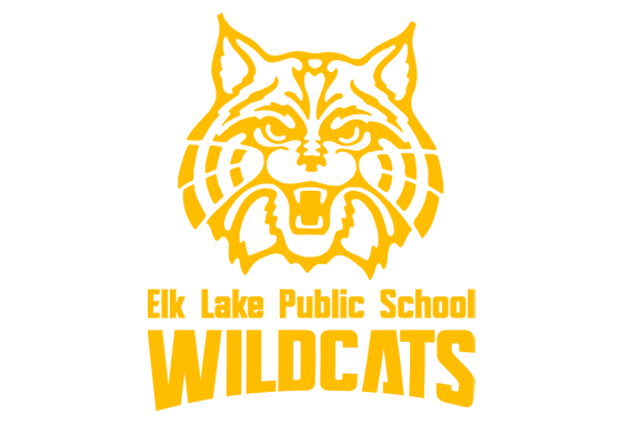 Elk Lake Public School